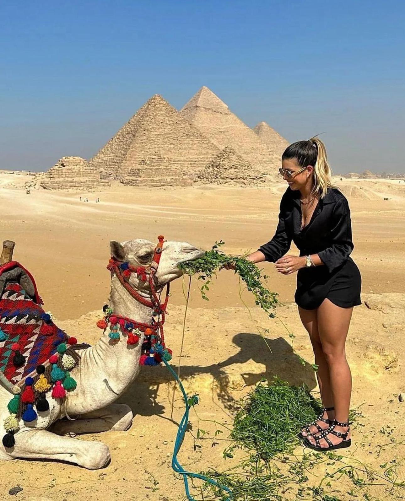 The Boulevard Sphinx Tower Kafret el-Gabal エクステリア 写真